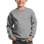 Youth Crewneck Sweatshirt